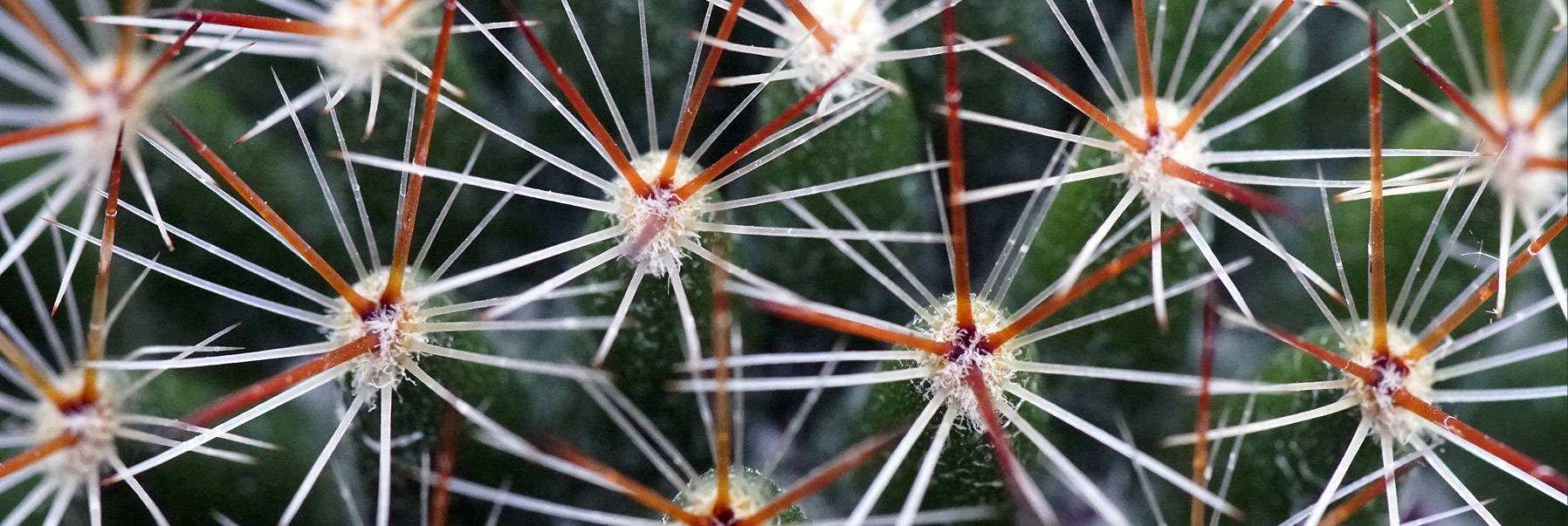  Синдром раздраженного кишечника 