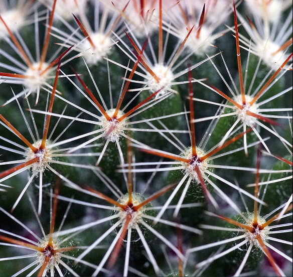 Синдром раздраженного кишечника 